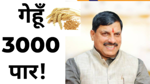 3000 प्रति क्विंटल बिकेगा गेहूं